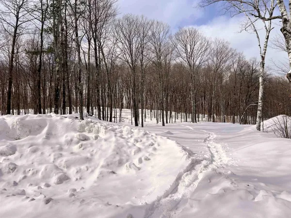 $195,000 | 119 Advent Hill Road, Hartland, VT 05048