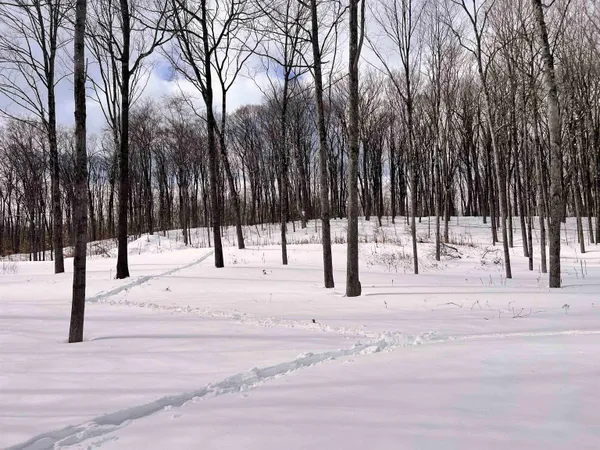 $195,000 | 119 Advent Hill Road, Hartland, VT 05048