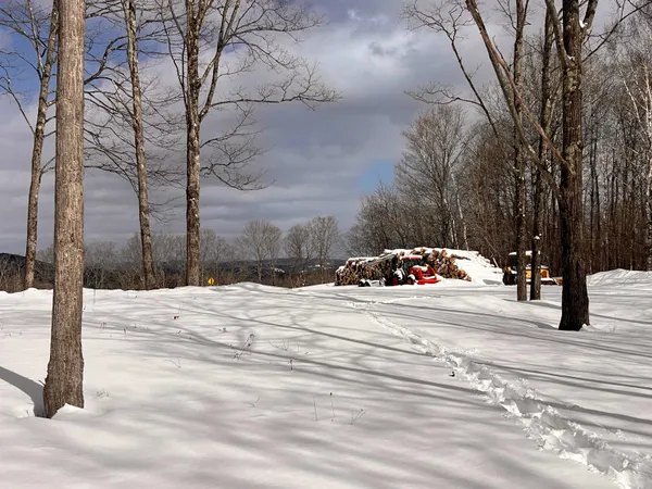 $195,000 | 119 Advent Hill Road, Hartland, VT 05048