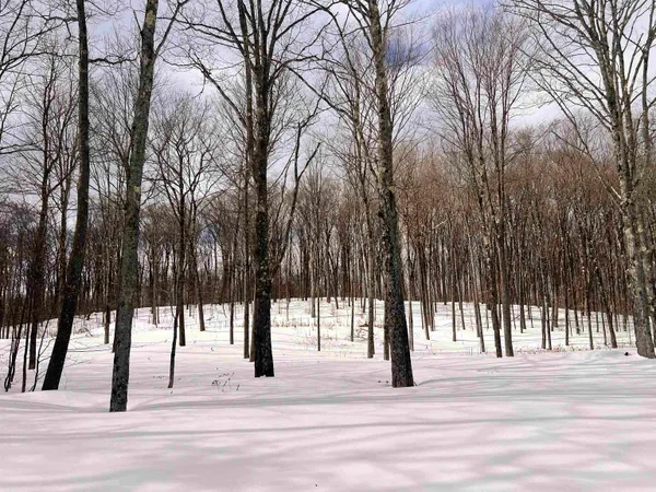 $195,000 | 119 Advent Hill Road, Hartland, VT 05048