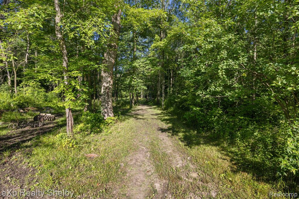 5697 Gleason Road Emmett, MI 48022 - Photo 51 of 62