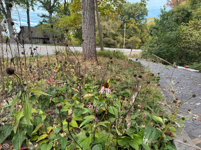 $249,900 | 2533 North State Road 135, Nashville, IN 47448