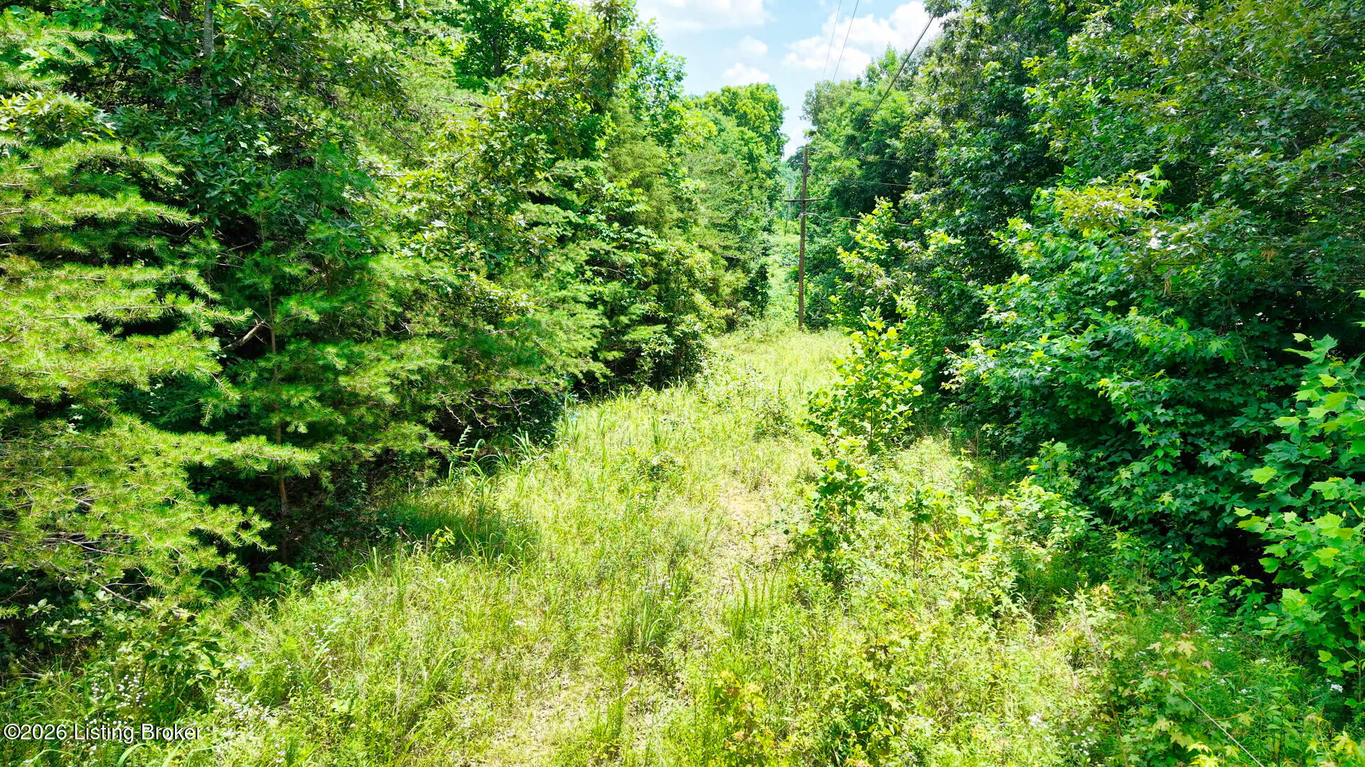 2 Ditney Hill Road Drakesboro, KY 42337 - Photo 4 of 13 DJI 146