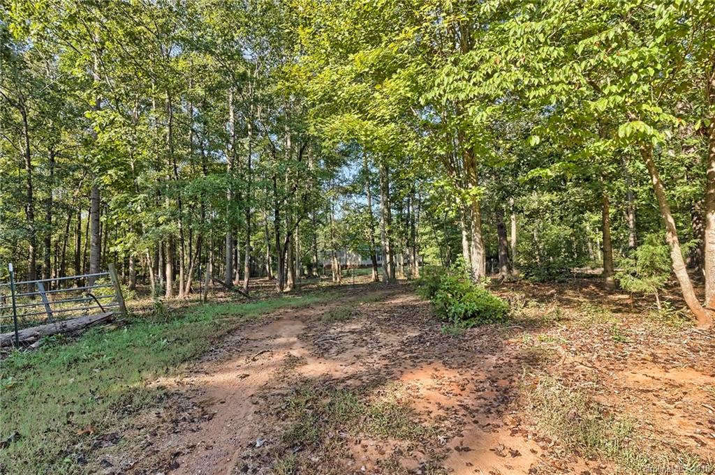 956 Pesch Road Richburg, SC 29729 - Photo 22 of 28 Gallery Image 22
