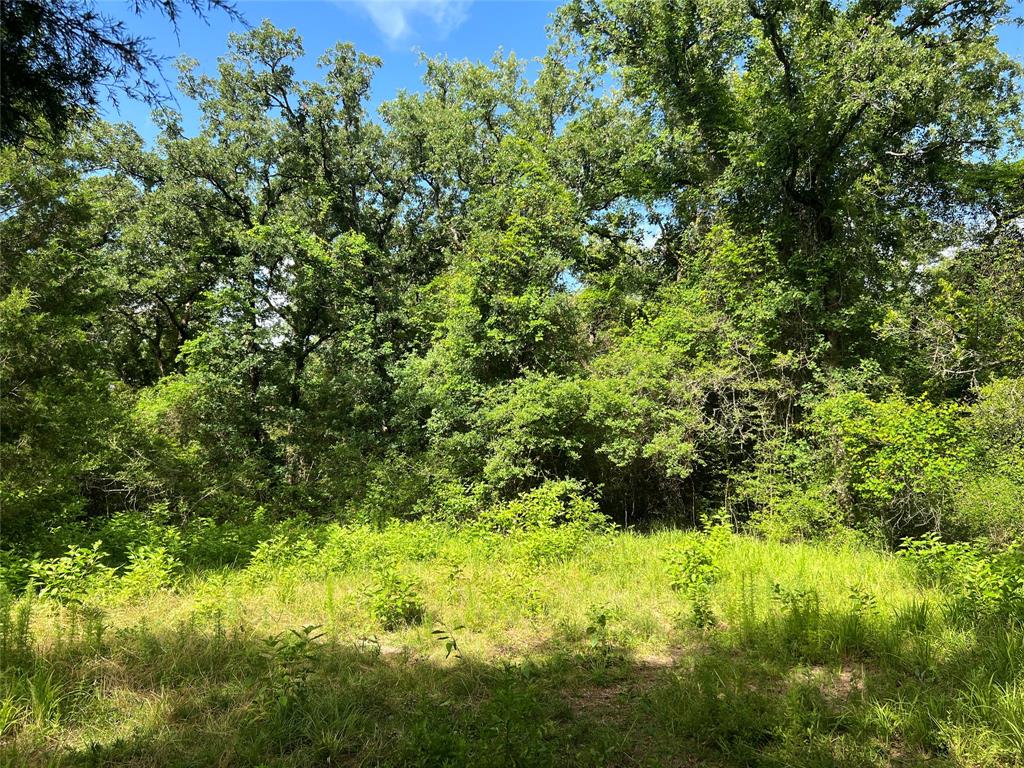 3 Cr 301 Buffalo Tx 75831  