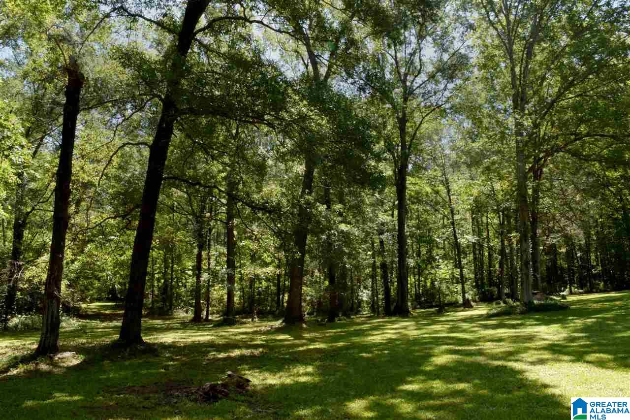 155 Red Oak Circle Helena, AL 35080 - Photo 6 of 28