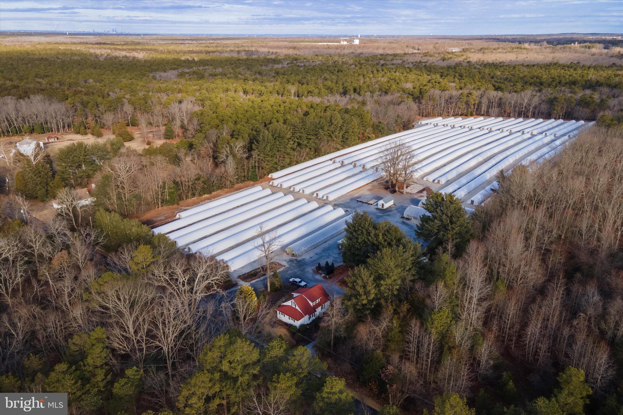 a view of a lake with a mountain