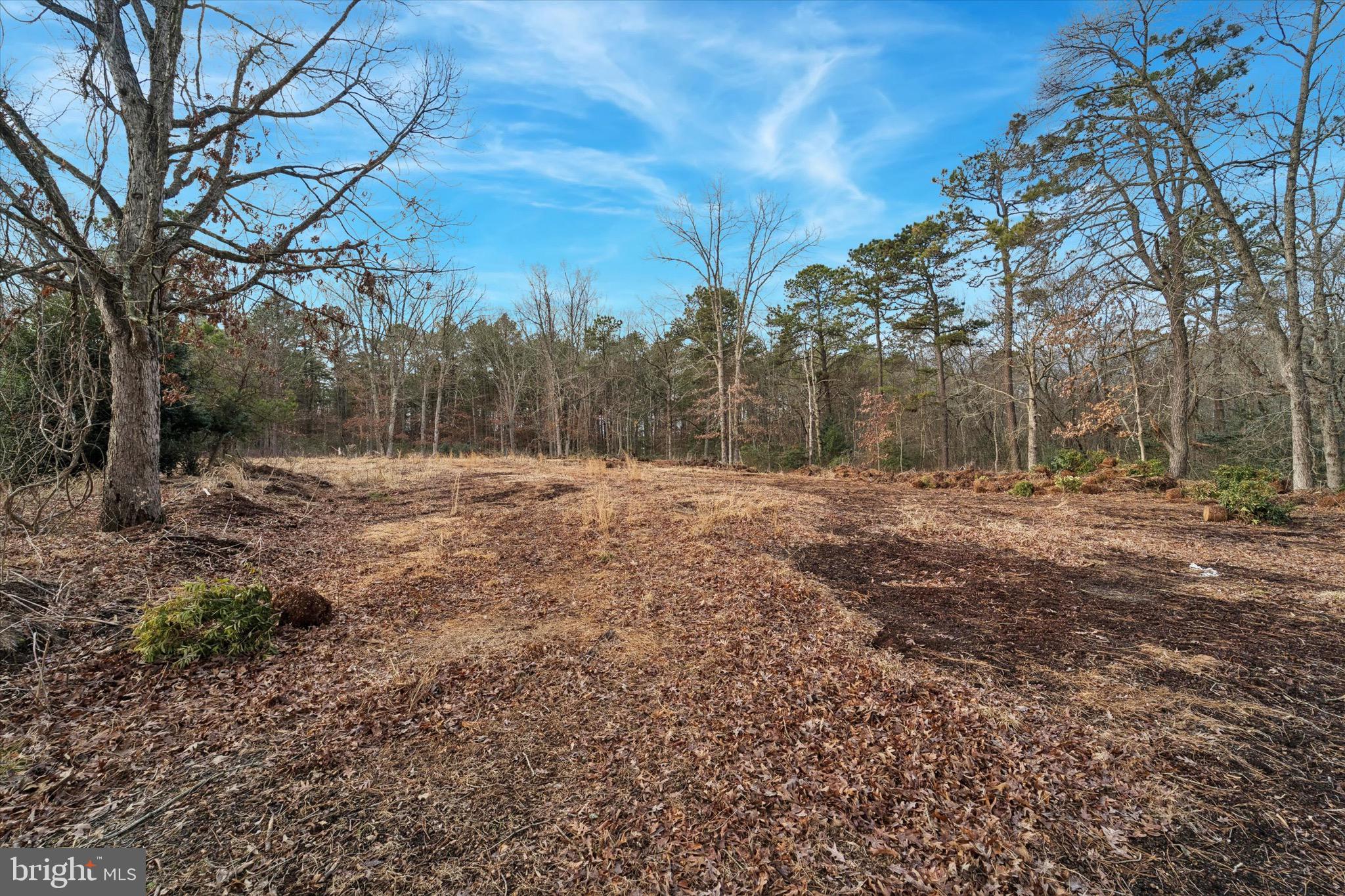312 Lakedale Road Berlin, NJ 08009 - Photo 26 of 48 a view of outdoor space with trees