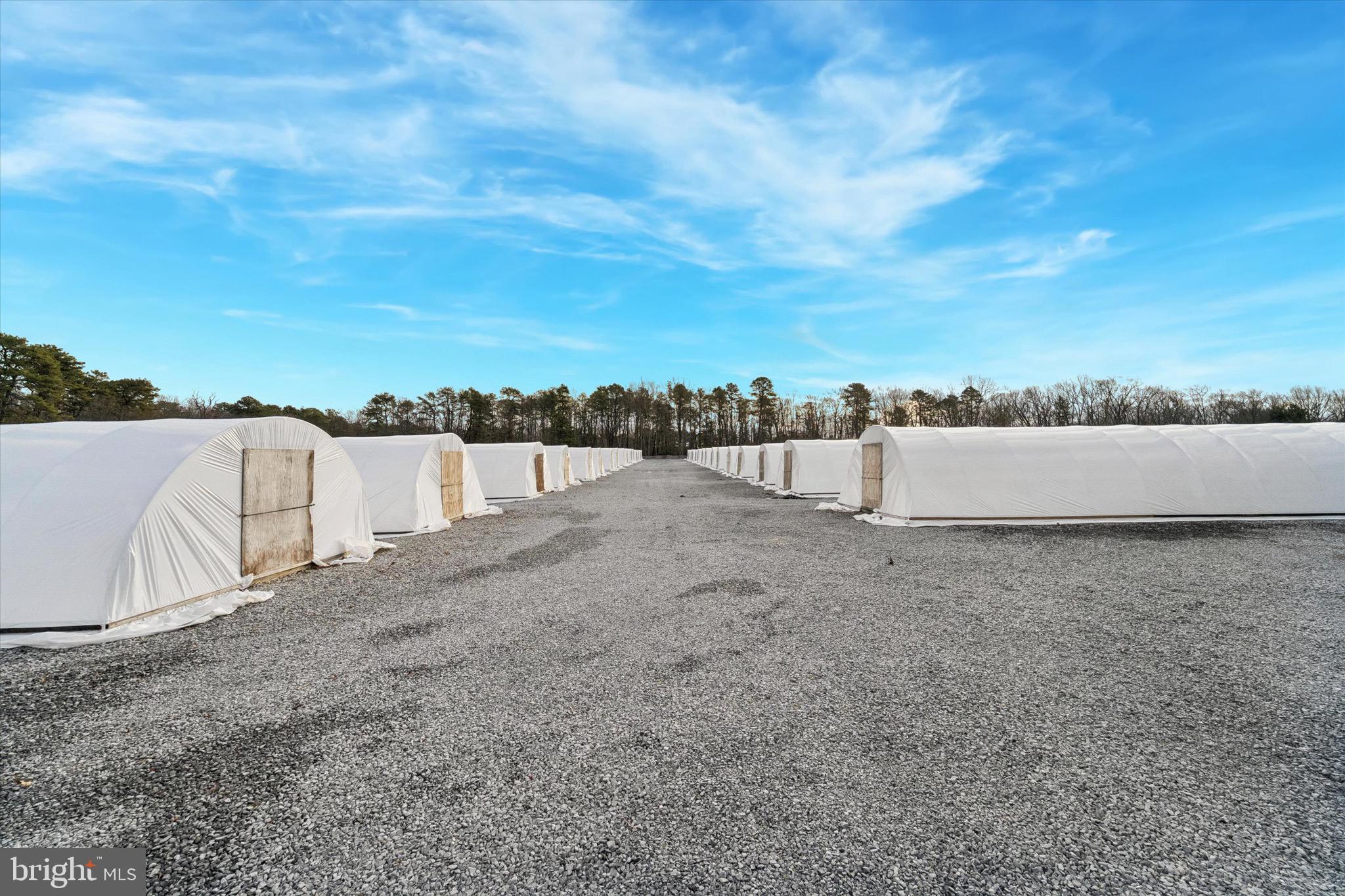 312 Lakedale Road Berlin, NJ 08009 - Photo 28 of 48 a view of a dry yard with a large tree