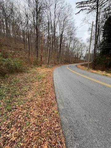 a view of a yard with trees