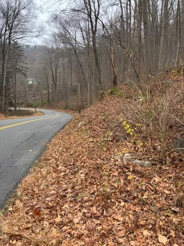 a view of a yard with trees