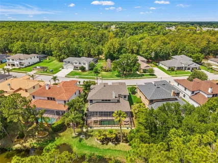 $1,200,000 | 12818 Eagles Entry Drive, Odessa, FL 33556