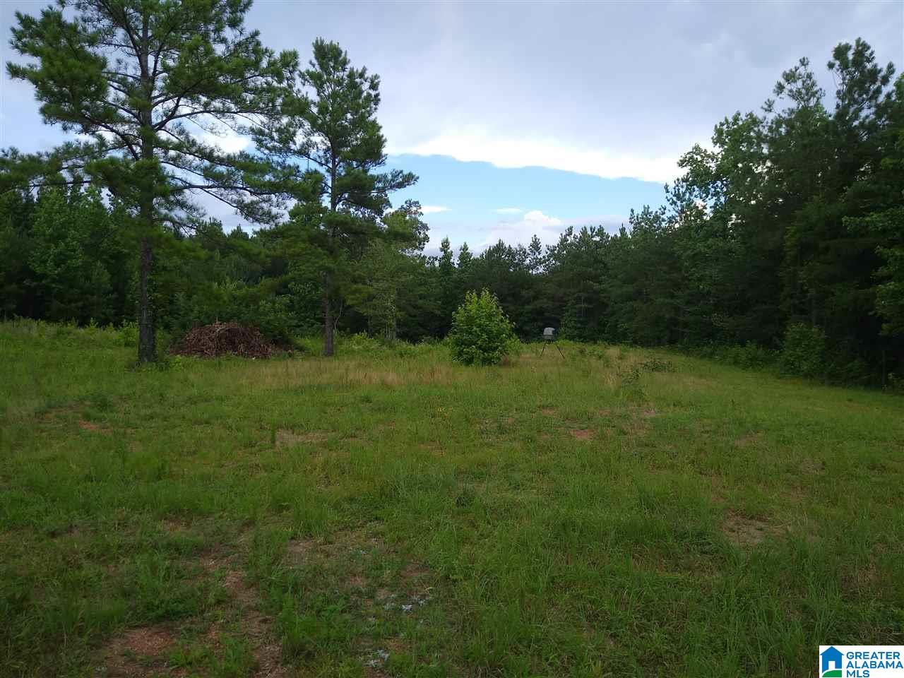 2700 Elvester Road, Unit 29 ACRES Warrior, AL 35180 - Photo 10 of 25 Gallery Image 10