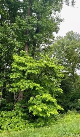 $25,750 | 142 B Tennis Lane, Ruther Glen, VA 22546