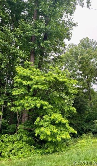 142 B Tennis Lane Ruther Glen, VA 22546 - Photo 1 of 3 View of local wilderness