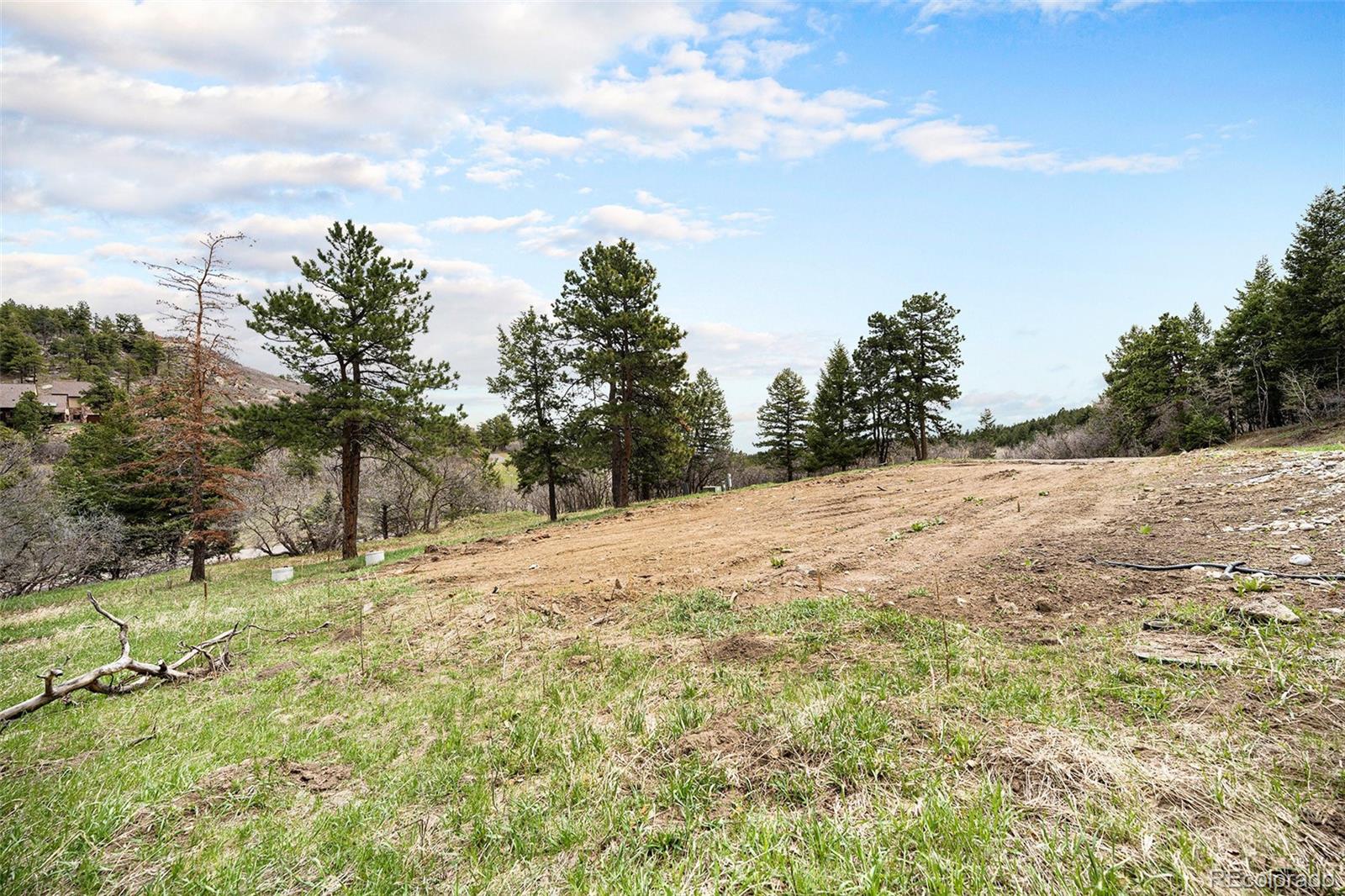 43 West Ranch Trail Morrison, CO 80465 - Photo 19 of 29 Gallery Image 19