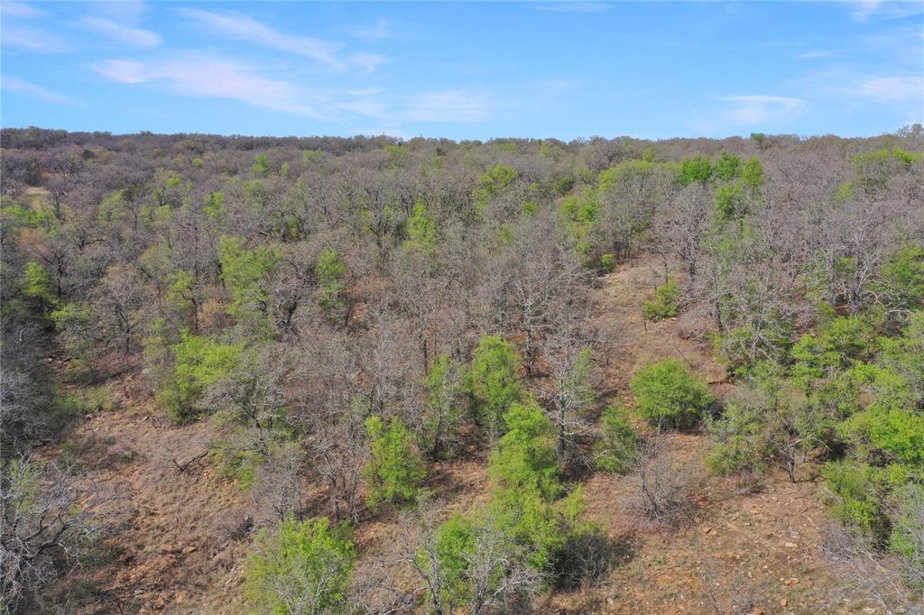 Tbd Slusher Road Jacksboro, TX 76458 - Photo 2 of 13