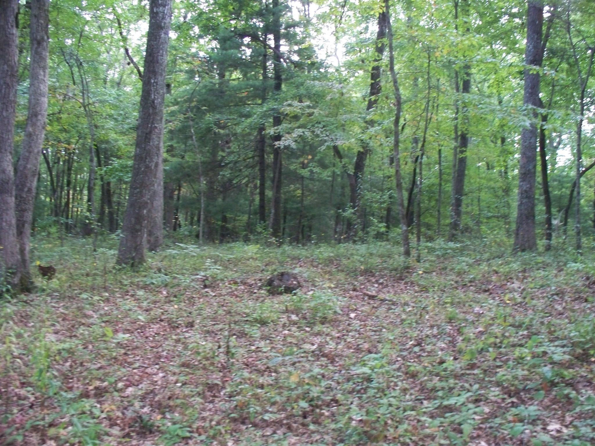 167 Lowes Gap Road Spring City, TN 37381 - Photo 15 of 20 100_7488