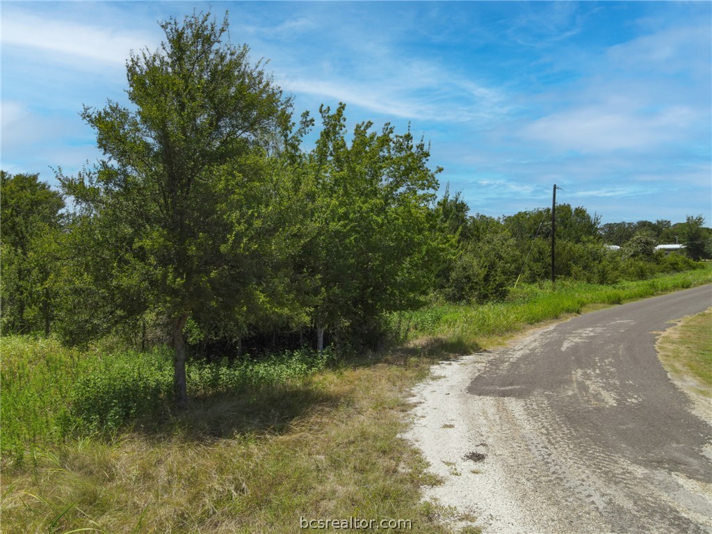 Tbd James Craft Road Somerville, TX 77879 - Photo 5 of 12 Gallery Image 5
