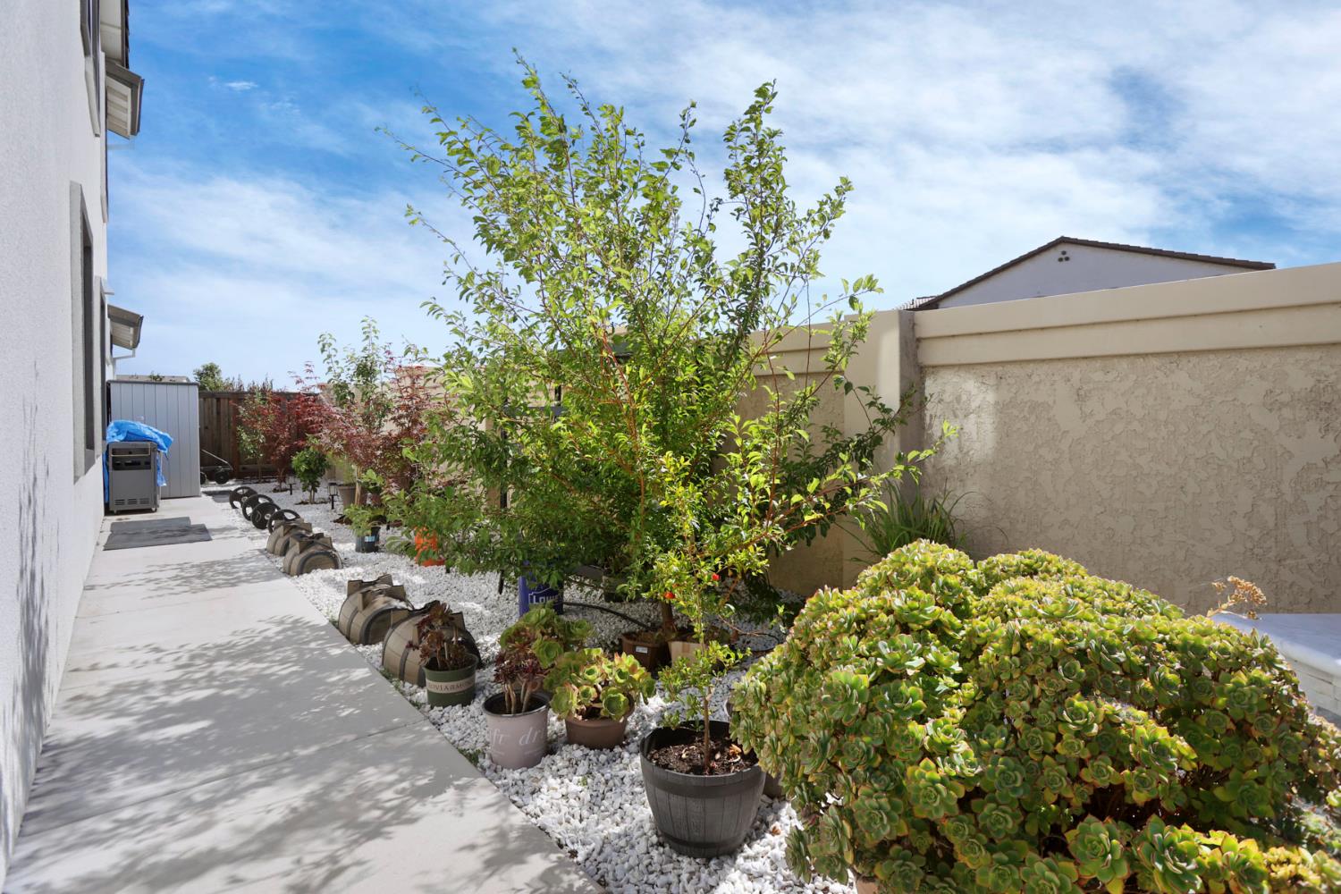 6949 Foraker Drive Stockton, CA 95219 - Photo 5 of 34 a backyard of a house with lots of green space