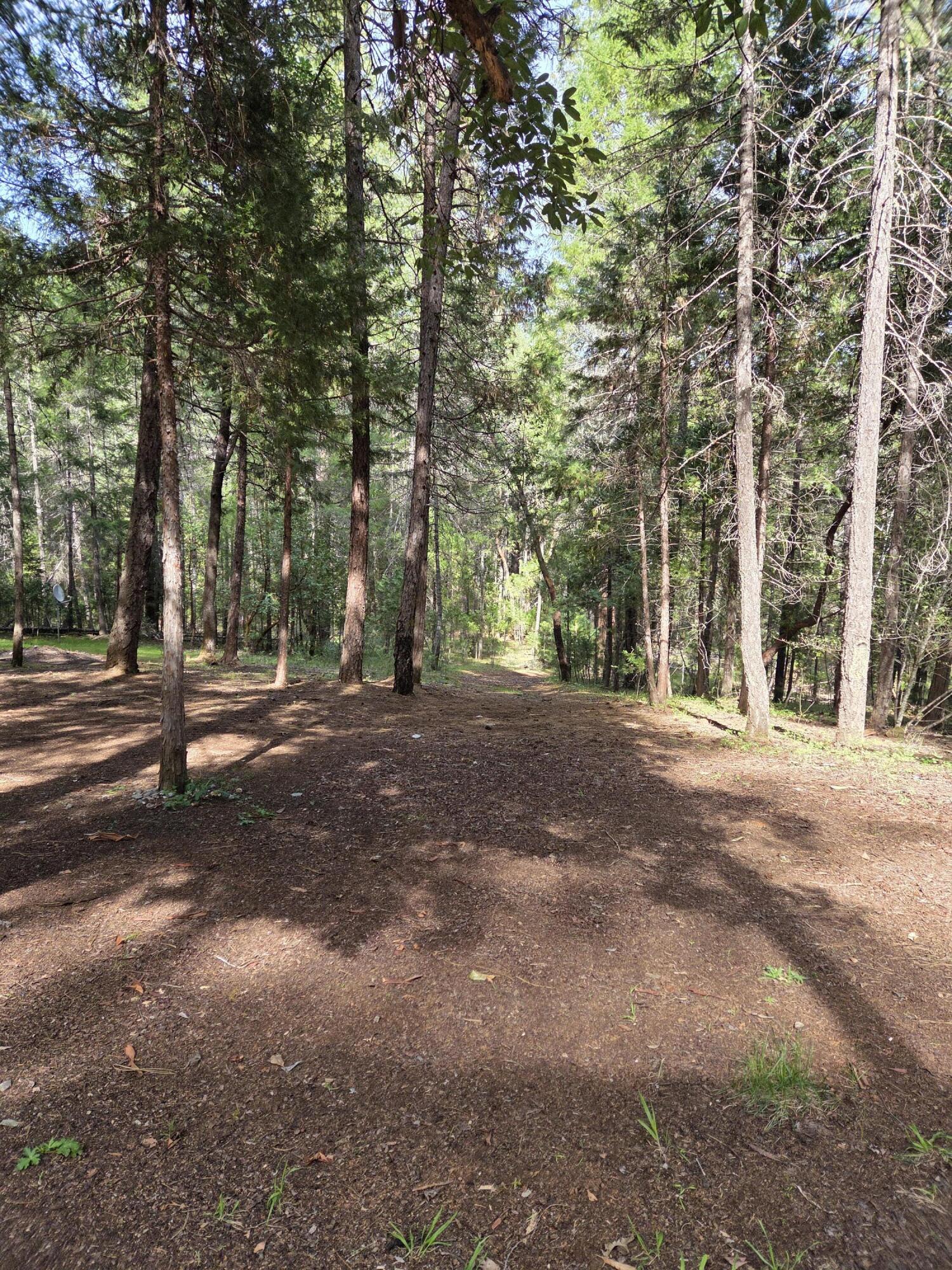 3760 Pleasant Creek Road Rogue River, OR 97537 - Photo 5 of 36 a view of outdoor space with trees