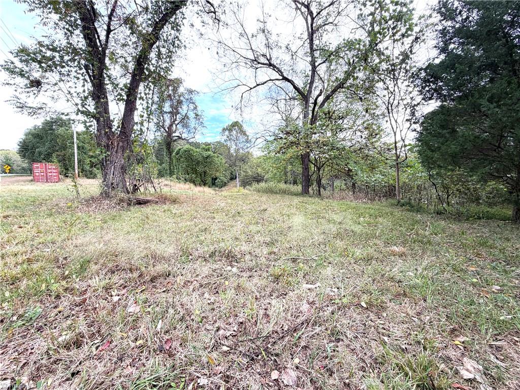 0 South Friendship Road Germanton, NC 27019 - Photo 5 of 9