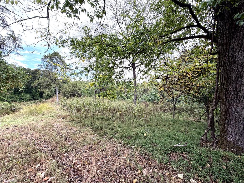 0 South Friendship Road Germanton, NC 27019 - Photo 6 of 9