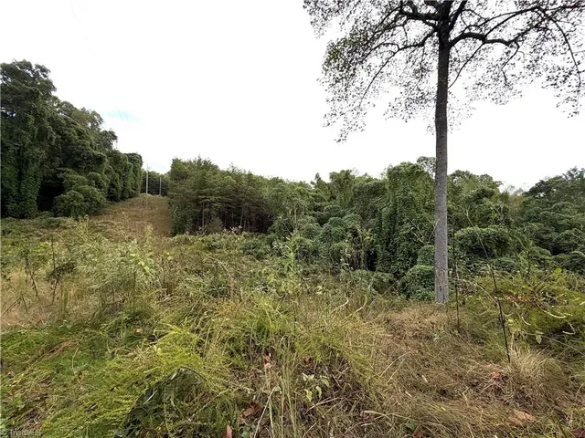 $50,000 | 0 South Friendship Road, Germanton, NC 27019