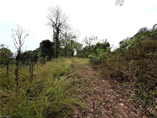 $50,000 | 0 South Friendship Road, Germanton, NC 27019