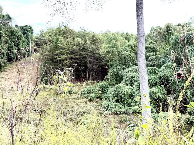 $50,000 | 0 South Friendship Road, Germanton, NC 27019