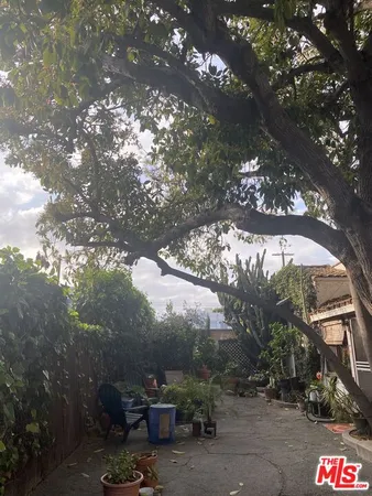 a view of a outdoor space with a tree