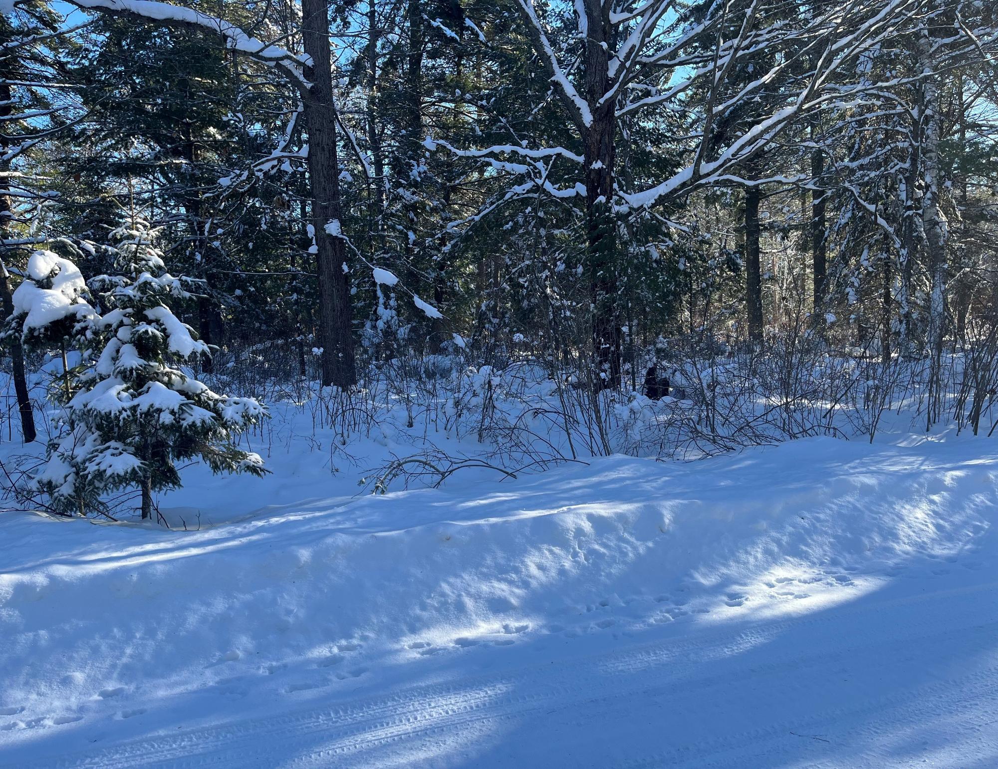 Lot 4 Wilderness Road Sayner, WI 54560 - Photo 2 of 2 Gallery Image 2
