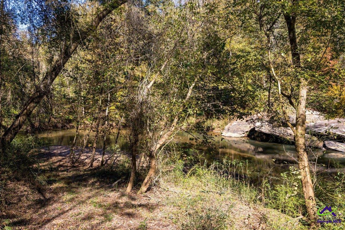 3271 Highway 42 Forsyth, GA 31029 - Photo 7 of 29