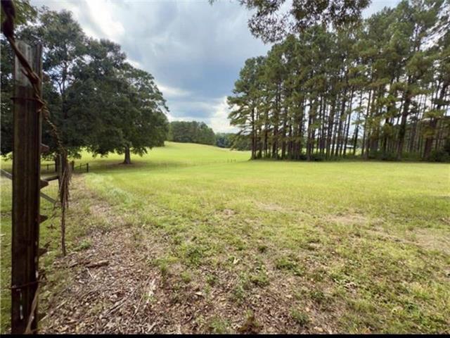 0 Spring Creek Road Jena, LA 71342 - Photo 2 of 6