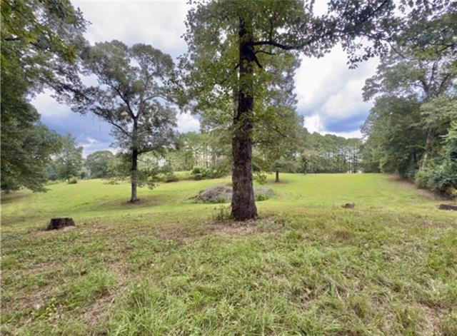 0 Spring Creek Road Jena, LA 71342 - Photo 5 of 6