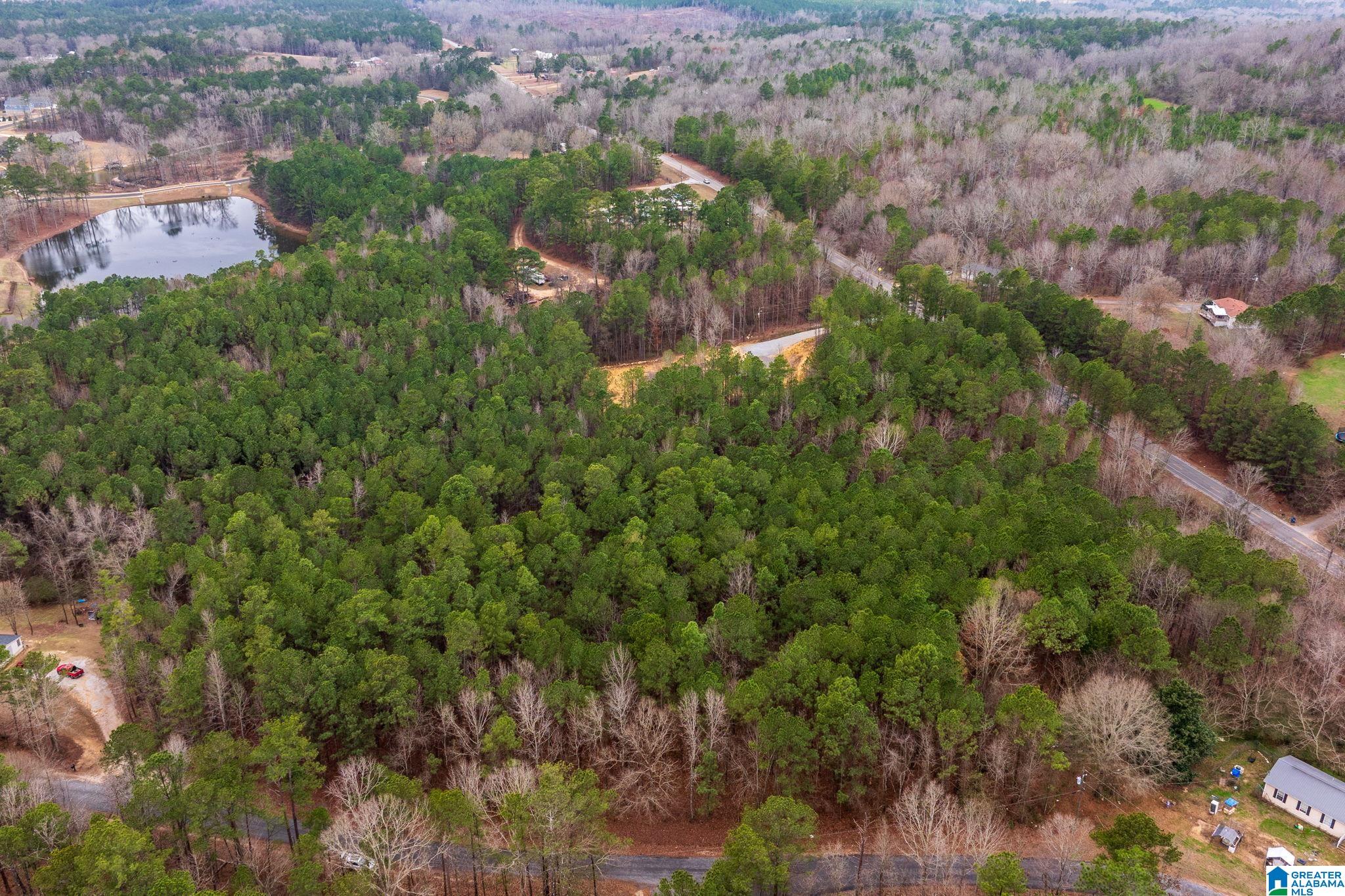0 Frankies Road Vincent, AL 35178 - Photo 8 of 11 Gallery Image 8