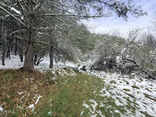 $38,000 | Tbd Power House Hollow, Clintwood, VA 24228