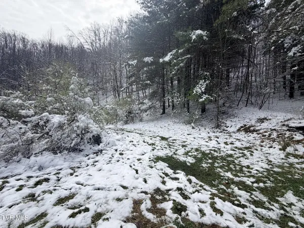 $38,000 | Tbd Power House Hollow, Clintwood, VA 24228