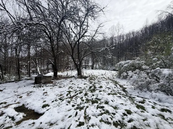 $38,000 | Tbd Power House Hollow, Clintwood, VA 24228