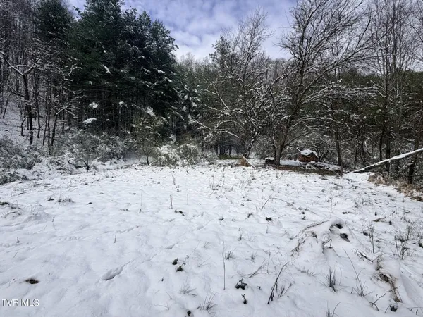 $38,000 | Tbd Power House Hollow, Clintwood, VA 24228