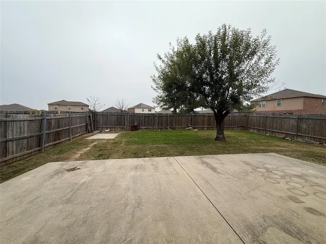 a view of a park with large trees