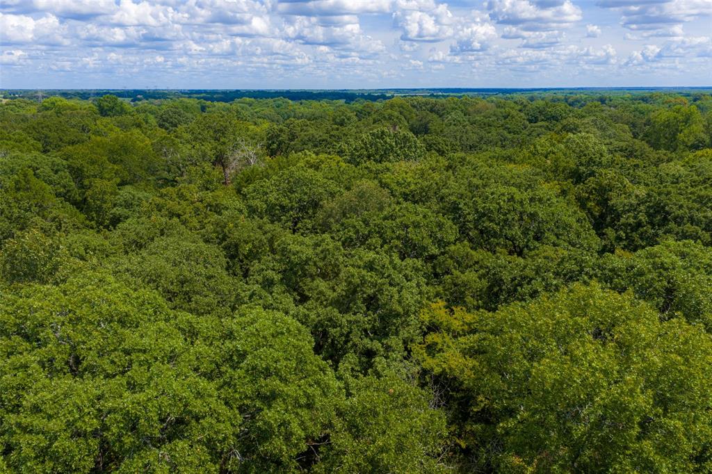 11748 River Ranch Road Kemp, TX 75143 - Photo 12 of 40 Gallery Image 12