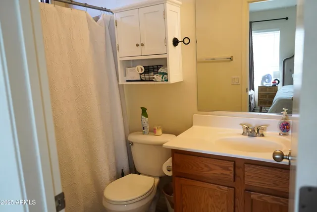 a bathroom with a sink a toilet and shower curtain