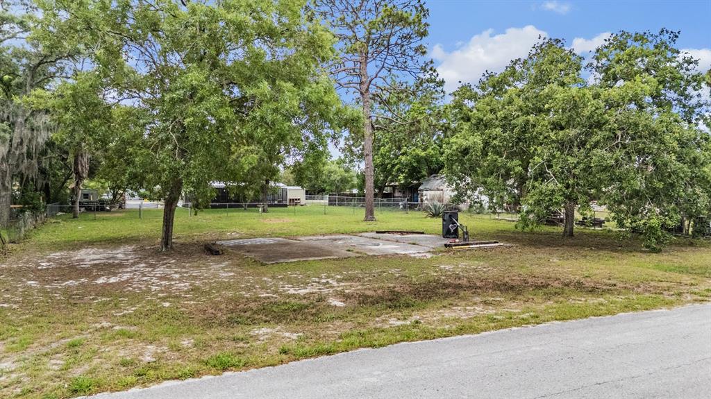 9739 Ray Street Hudson, FL 34669 - Photo 35 of 36 a view of a yard with tree s