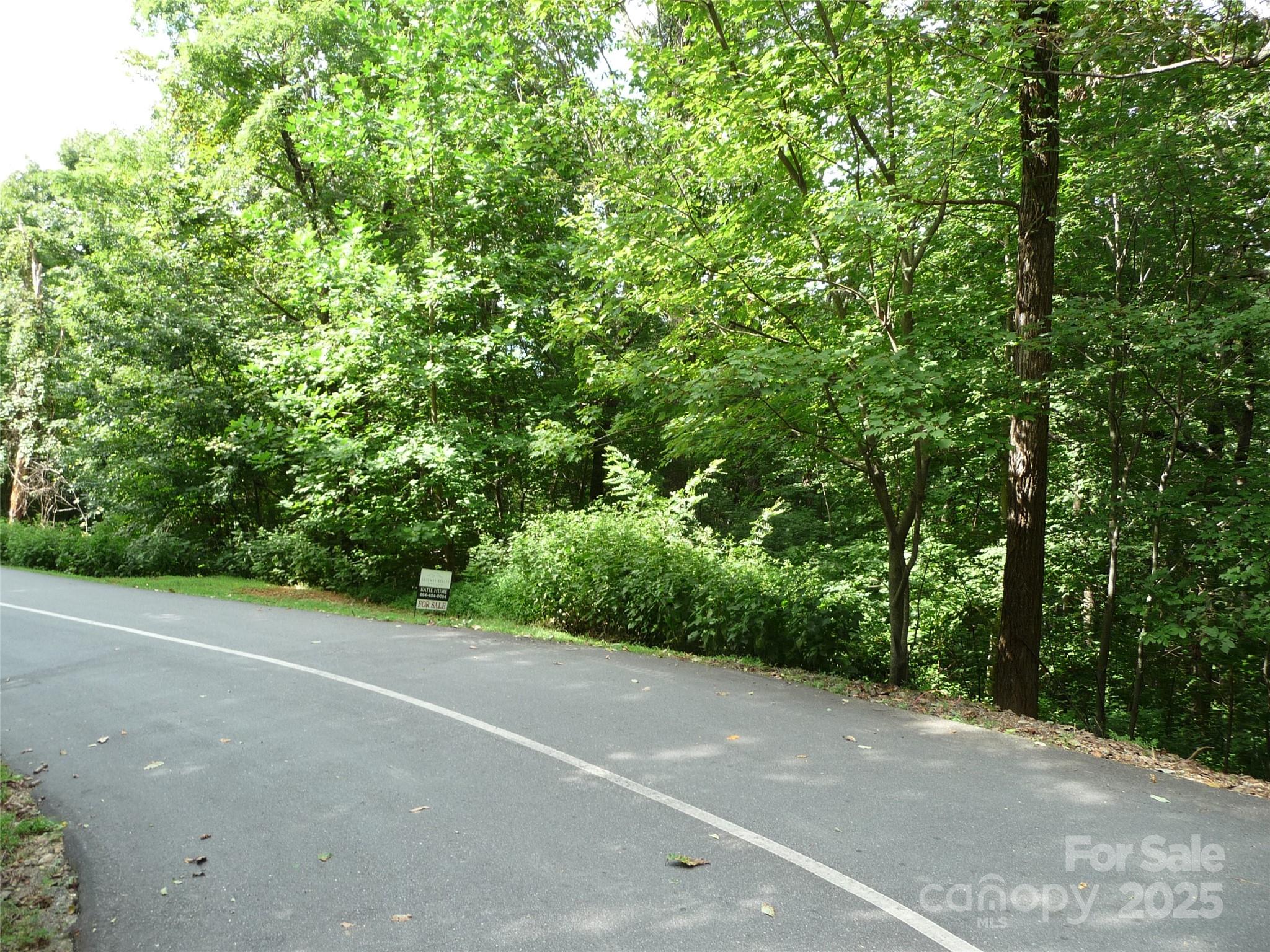 Lot 35 Morning Ride Drive, Unit LOT 35 Columbus, NC 28722 - Photo 2 of 10 a view of a rural road with plants and large trees
