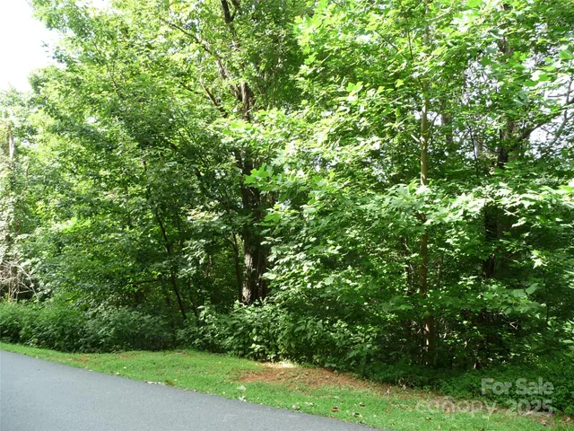 a view of a yard with a tree