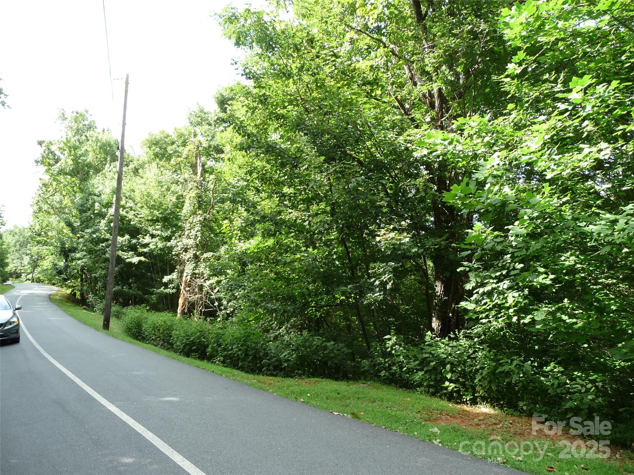 Lot 35 Morning Ride Drive, Unit LOT 35 Columbus, NC 28722 - Photo 4 of 10 a view of a road from a yard