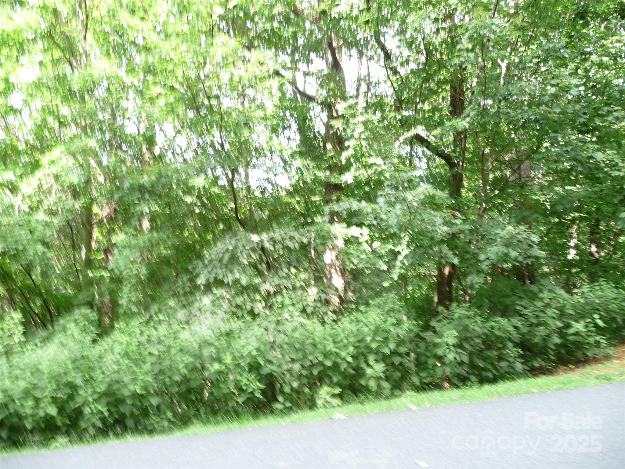 Lot 35 Morning Ride Drive, Unit LOT 35 Columbus, NC 28722 - Photo 5 of 10 a backyard of a house with lots of green space