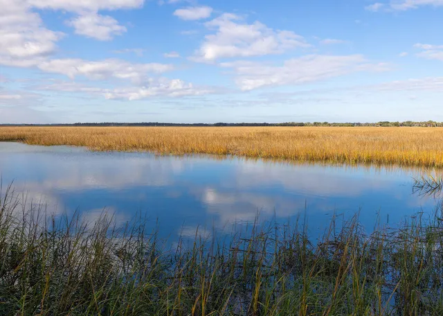 $529,000 | 2393 Folly Road, Unit 1A, Folly Beach, SC 29412