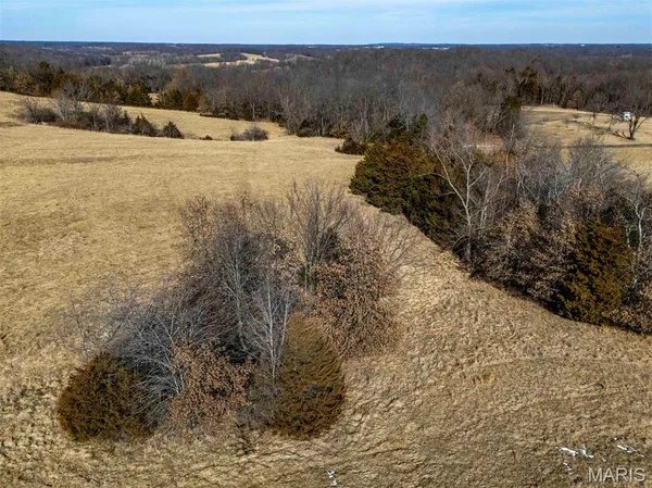 $361,335 | 0 Kuntz Road, Bowling Green, MO 63334